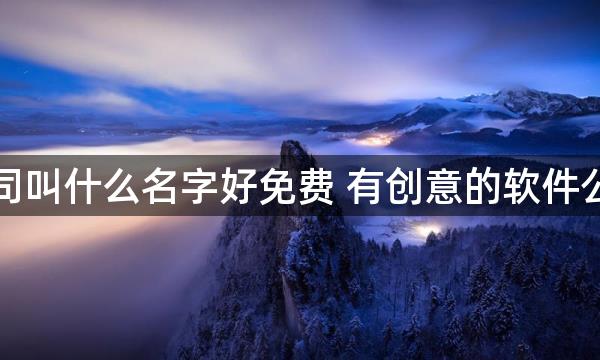 软件公司叫什么名字好免费 有创意的软件公司名字