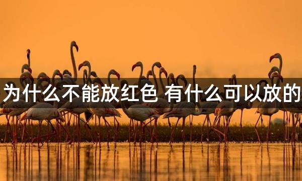 大门口为什么不能放红色 有什么可以放的摆件吗