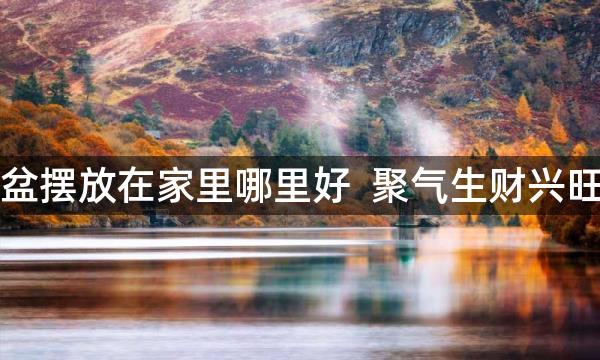 聚宝盆摆放在家里哪里好  聚气生财兴旺家宅