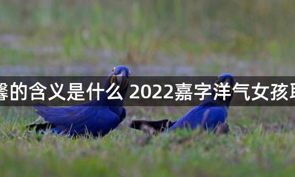 嘉馨的含义是什么 2022嘉字洋气女孩取名