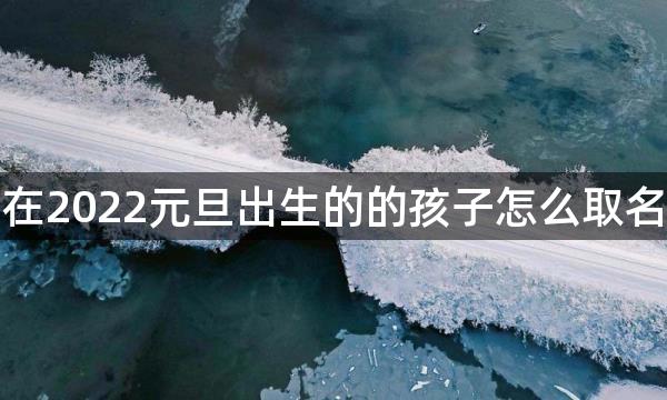 在2022元旦出生的的孩子怎么取名