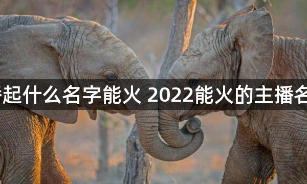 2022主播起什么名字能火 2022能火的主播名字有哪些