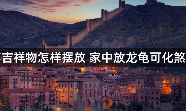 化煞吉祥物怎样摆放 家中放龙龟可化煞招财