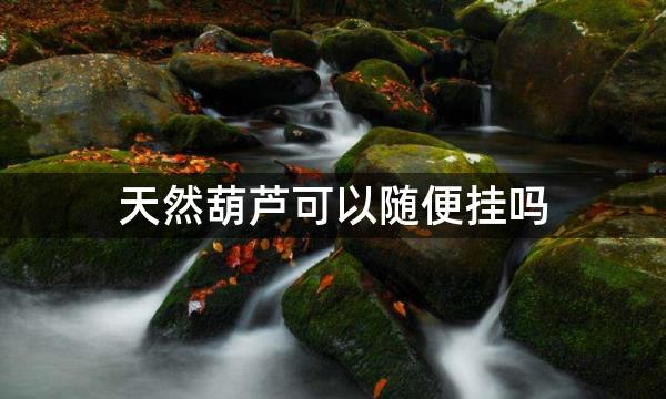 天然葫芦可以随便挂吗