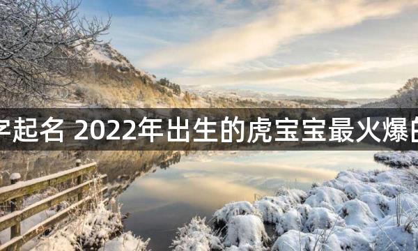 宜用字起名 2022年出生的虎宝宝最火爆的名字