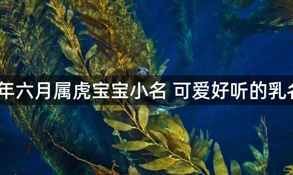 2022年六月属虎宝宝小名 可爱好听的乳名推荐