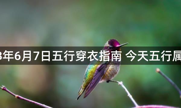 2023年6月7日五行穿衣指南 今天五行属什么