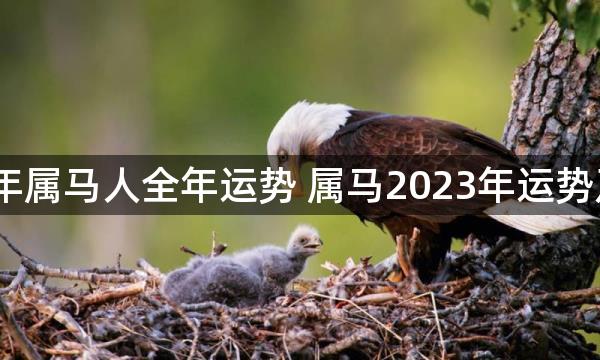 2023年属马人全年运势 属马2023年运势及运程