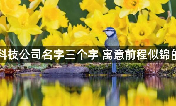 网络信息科技公司名字三个字 寓意前程似锦的公司名字