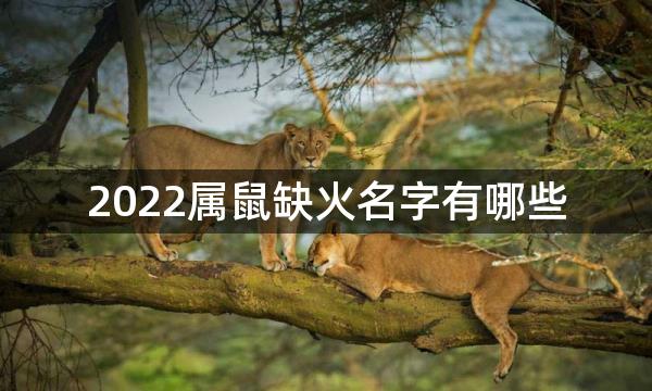 2022属鼠缺火名字有哪些