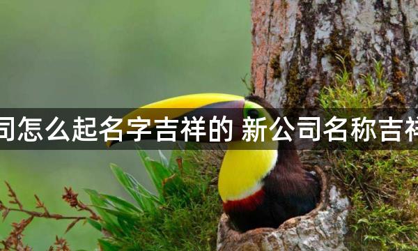 公司怎么起名字吉祥的 新公司名称吉祥字