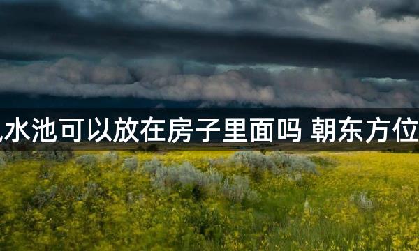 家中假山風水池可以放在房子里面吗 朝东方位不宜放假山