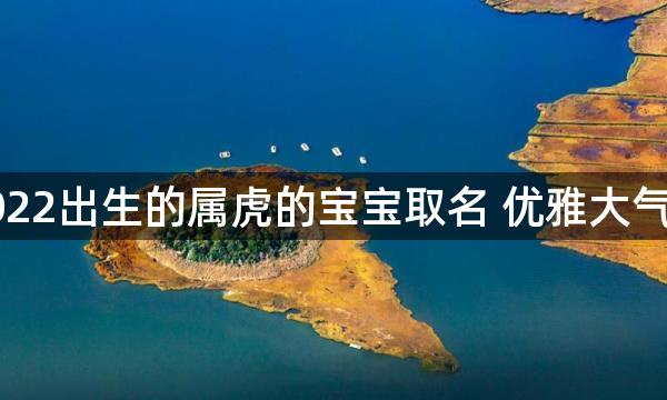 2022出生的属虎的宝宝取名 优雅大气的