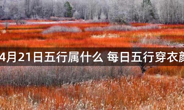 2023年4月21日五行属什么 每日五行穿衣颜色播报