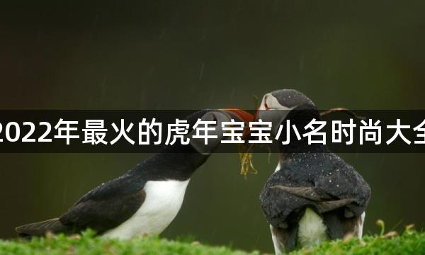 2022年最火的虎年宝宝小名时尚大全