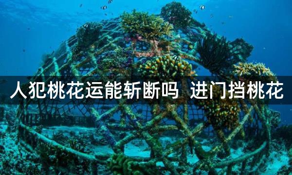 人犯桃花运能斩断吗  进门挡桃花