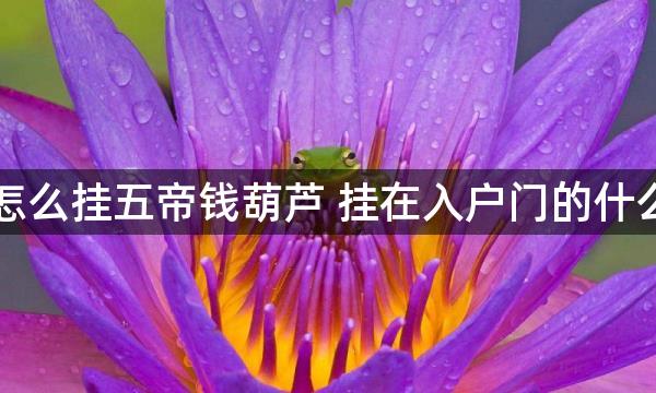 门对门怎么挂五帝钱葫芦 挂在入户门的什么位置好