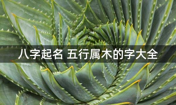 八字起名 五行属木的字大全