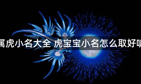 属虎小名大全 虎宝宝小名怎么取好听