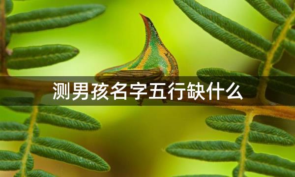 测男孩名字五行缺什么