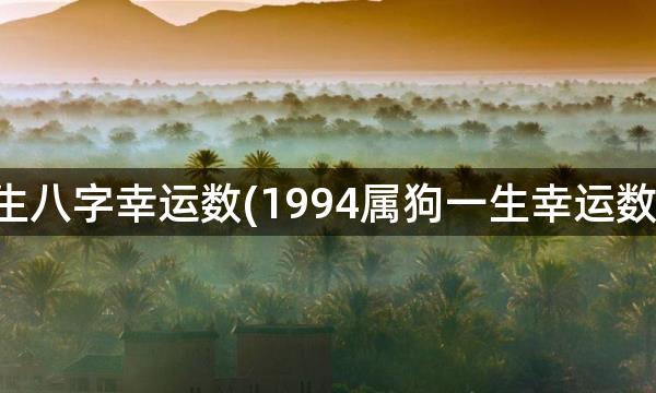 出生八字幸运数(1994属狗一生幸运数字)