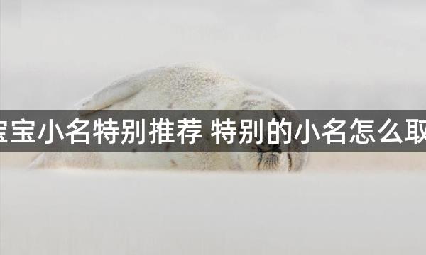 宝宝小名特别推荐 特别的小名怎么取？