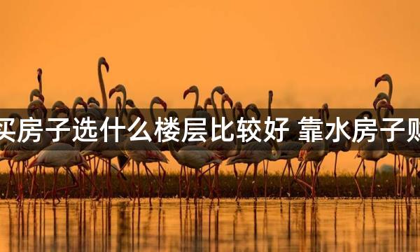 一般买房子选什么楼层比较好 靠水房子财运好