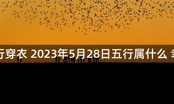 每天五行穿衣 2023年5月28日五行属什么 幸运颜色