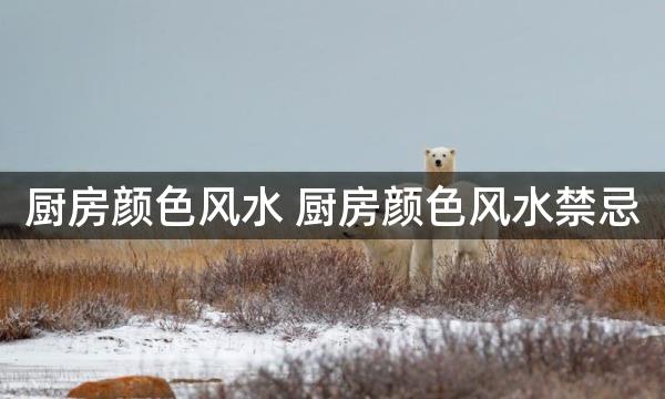 厨房颜色风水 厨房颜色风水禁忌