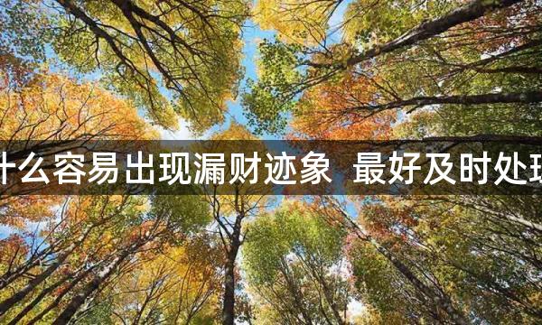 在家中放什么容易出现漏财迹象  最好及时处理防患未然