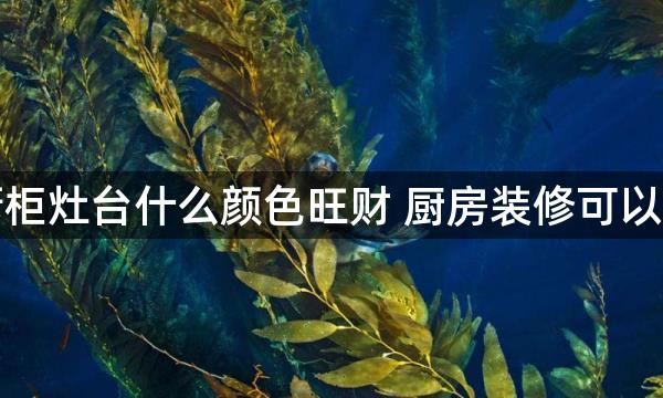 厨房橱柜灶台什么颜色旺财 厨房装修可以用红色