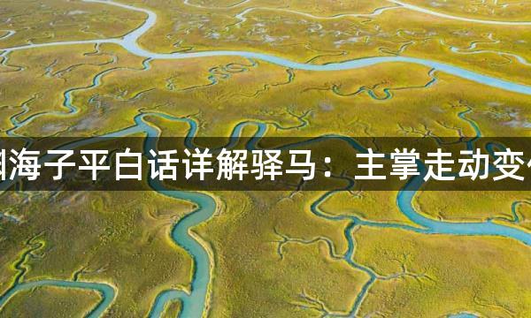 渊海子平白话详解驿马：主掌走动变化