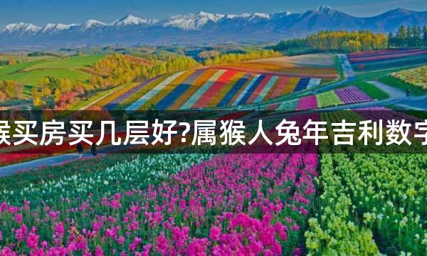 2023年生肖猴买房买几层好?属猴人兔年吉利数字楼层是几层？