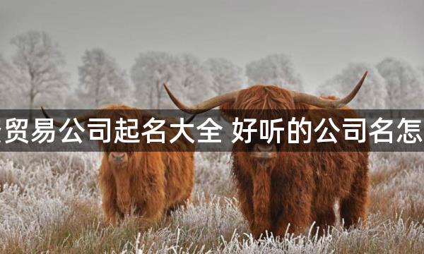 物资贸易公司起名大全 好听的公司名怎么起