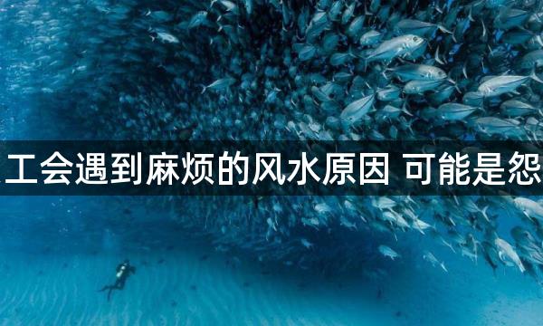 公司员工会遇到麻烦的风水原因 可能是怨气堆积