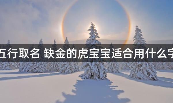 五行取名 缺金的虎宝宝适合用什么字