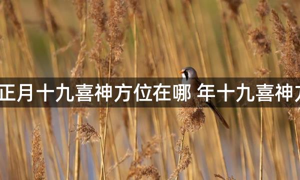 2023年正月十九喜神方位在哪 年十九喜神方位查询