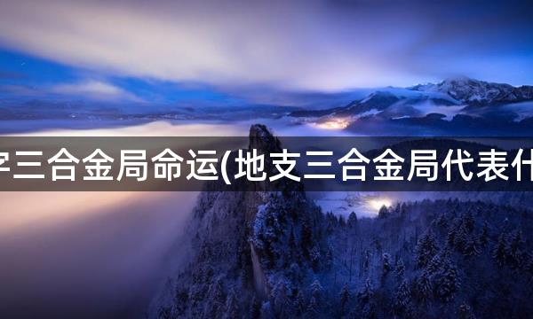 八字三合金局命运(地支三合金局代表什么)