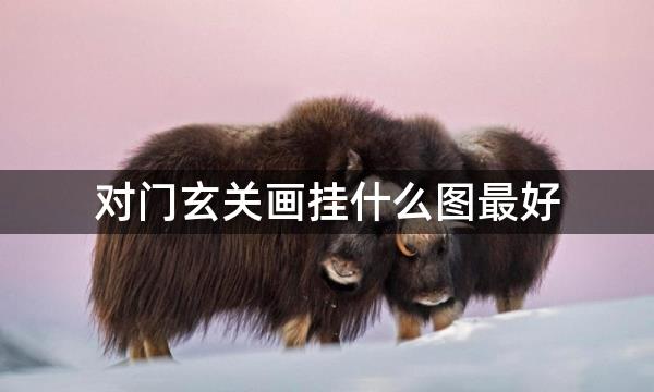 对门玄关画挂什么图最好