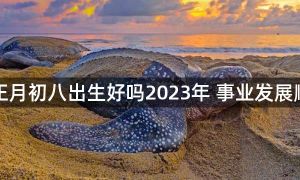 女孩正月初八出生好吗2023年 事业发展顺利吗