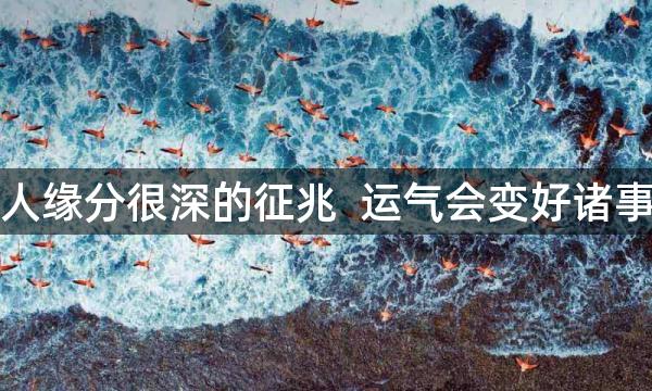 两个人缘分很深的征兆  运气会变好诸事顺遂