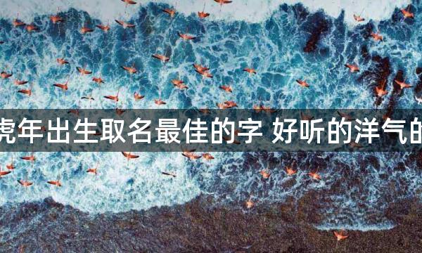 虎年出生取名最佳的字 好听的洋气的