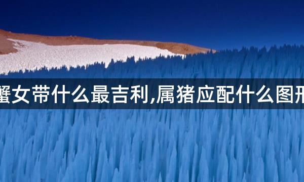 属猪的巨蟹女带什么最吉利,属猪应配什么图形的吉祥物