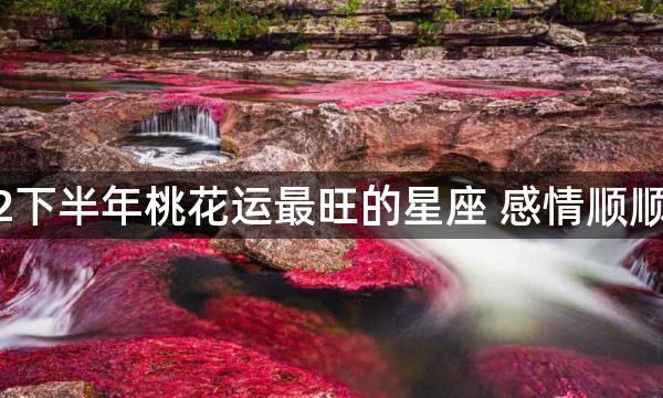 2022下半年桃花运最旺的星座 感情顺顺利利