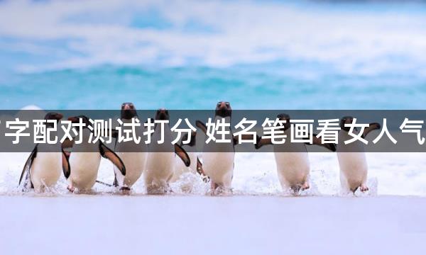 名字配对测试打分 姓名笔画看女人气场