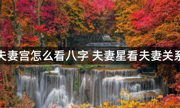 夫妻宫怎么看八字 夫妻星看夫妻关系