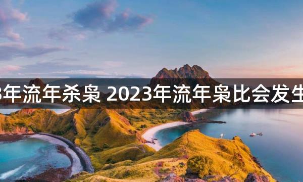 2023年流年杀枭 2023年流年枭比会发生什么