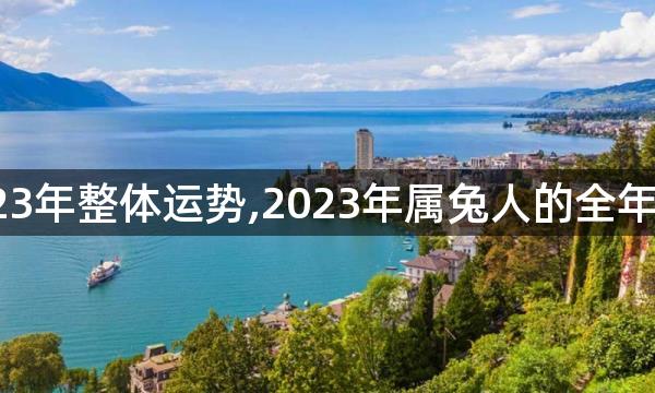 天秤女2023年整体运势,2023年属兔人的全年运势怎样？