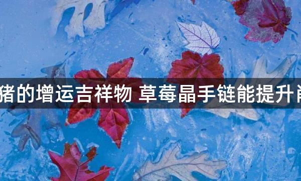 2023年属猪的增运吉祥物 草莓晶手链能提升肖猪桃花运