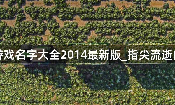 个性游戏名字大全2014最新版_指尖流逝的年华